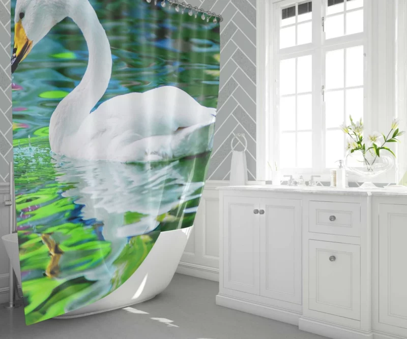 Whooper Swan Reflective Grace Water Beauty Shower Curtain 1