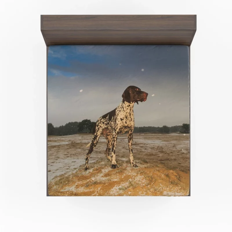 Wild German Shorthaired Pointer Gaze Fitted Sheet 1