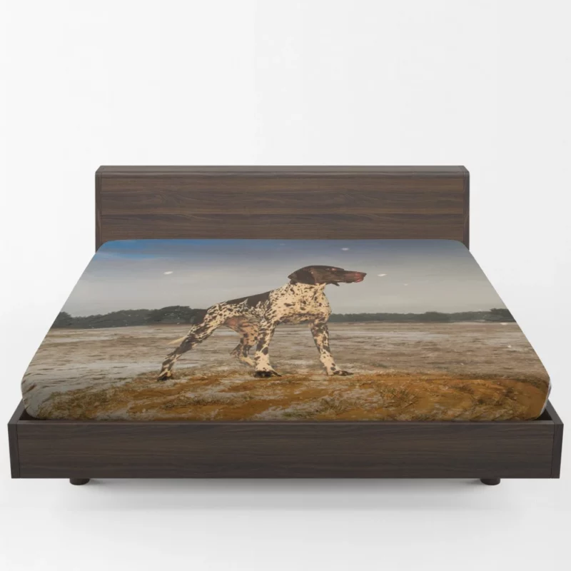 Wild German Shorthaired Pointer Gaze Fitted Sheet