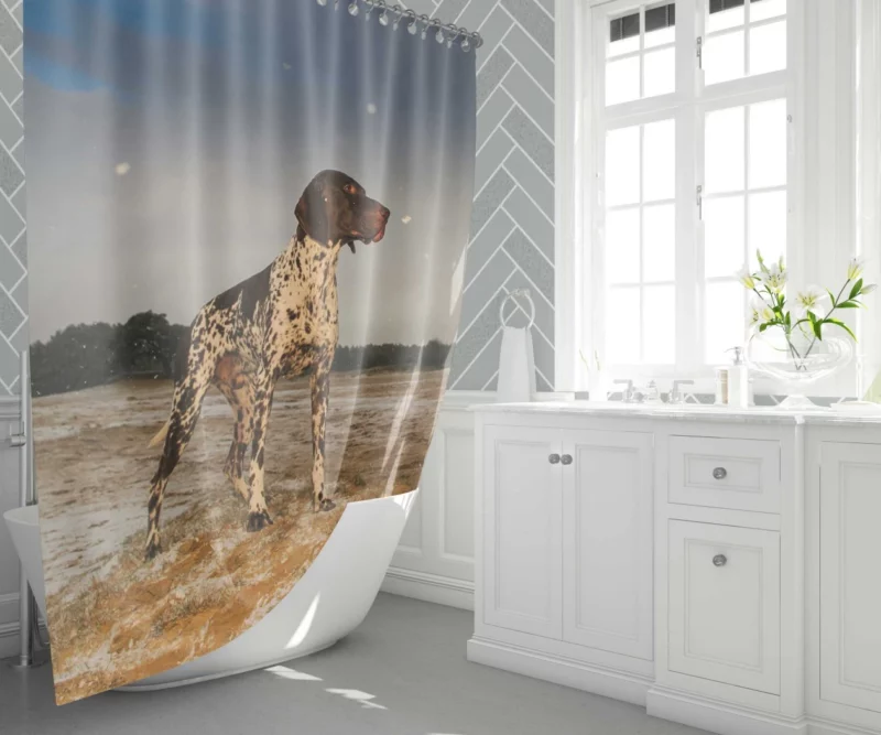 Wild German Shorthaired Pointer Gaze Shower Curtain 1