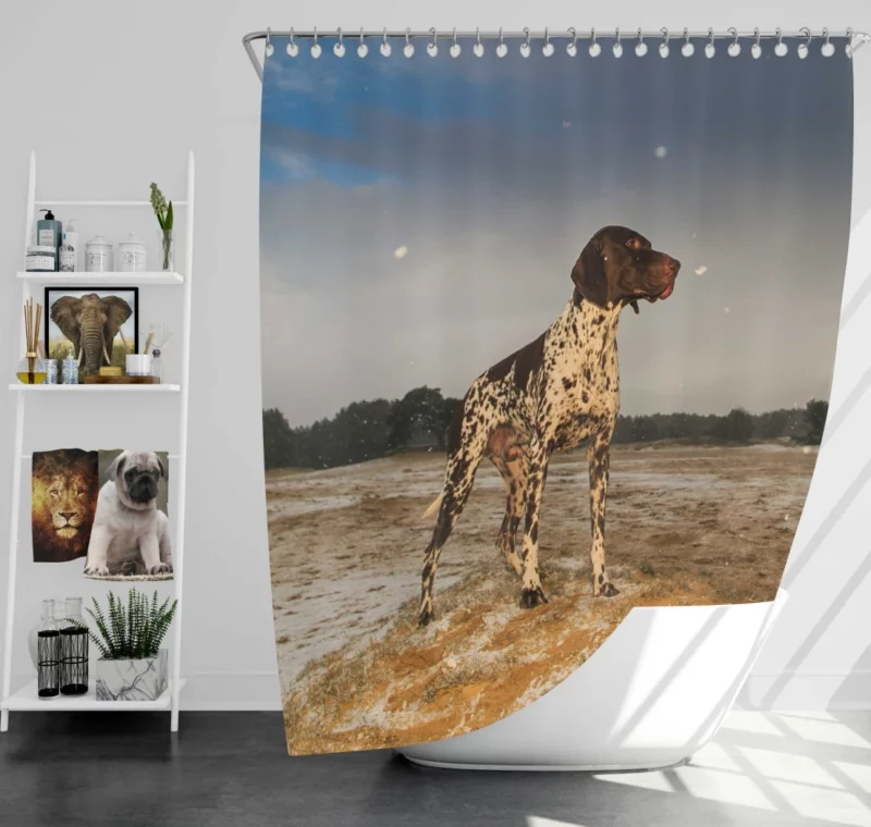 Wild German Shorthaired Pointer Gaze Shower Curtain