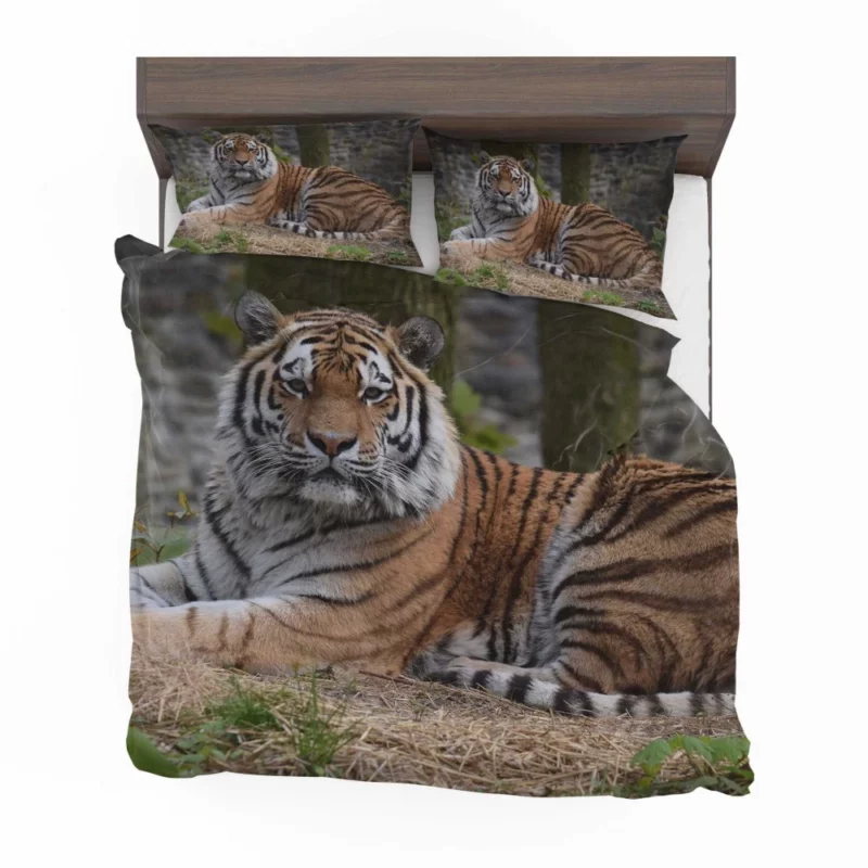 Wild Tiger Bedding Set 1