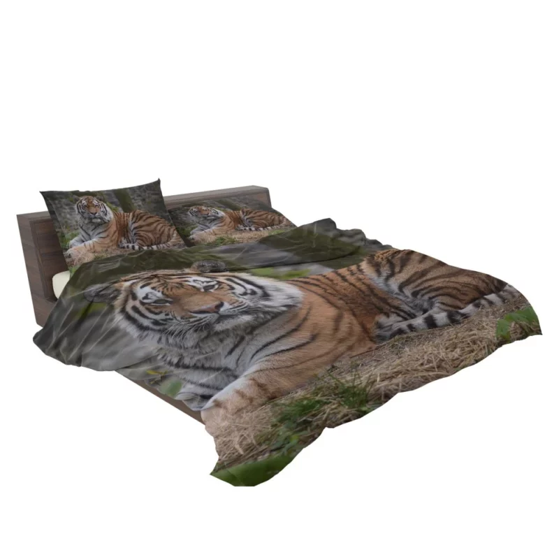 Wild Tiger Bedding Set 2