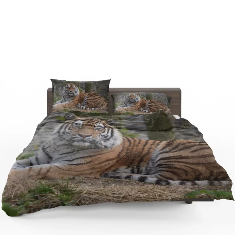 Wild Tiger Bedding Set