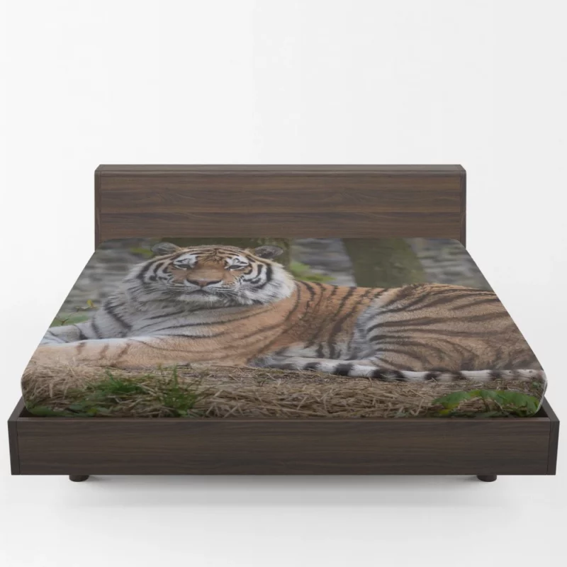 Wild Tiger Fitted Sheet