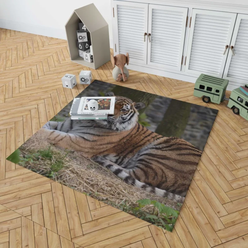 Wild Tiger Rug 1