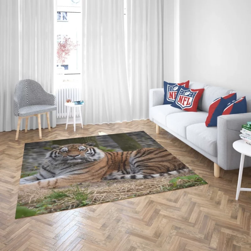 Wild Tiger Rug 2