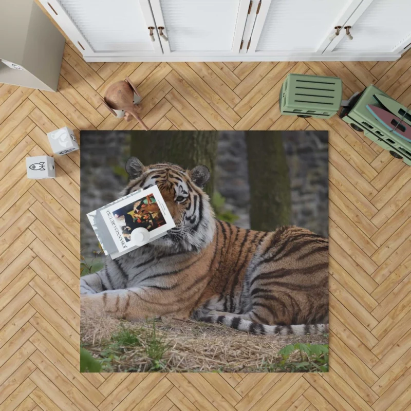 Wild Tiger Rug