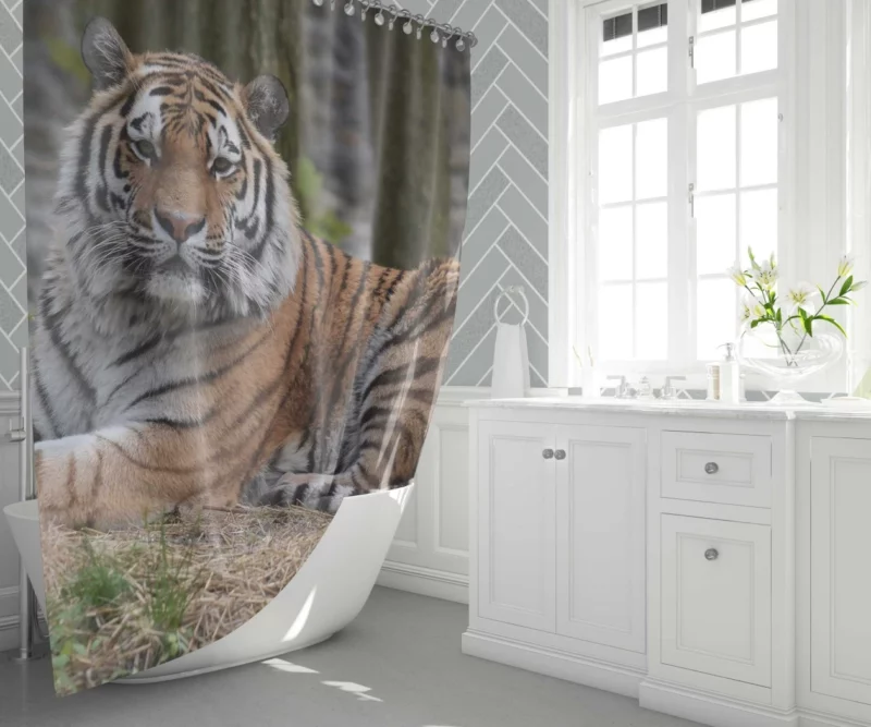 Wild Tiger Shower Curtain 1