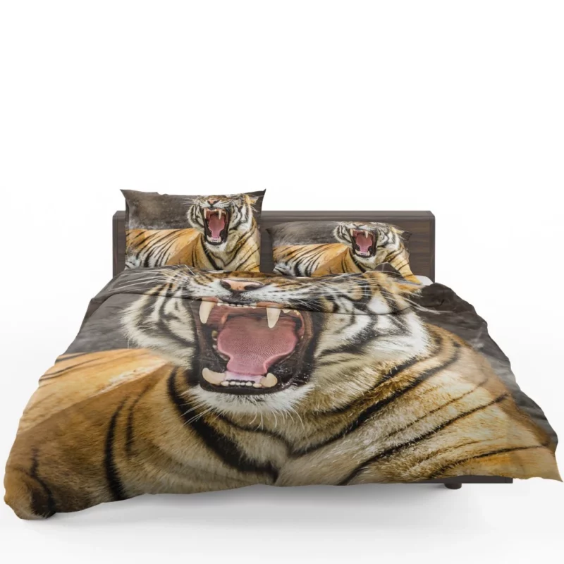 Wilderness Beauty Tiger Untamed Gaze Bedding Set