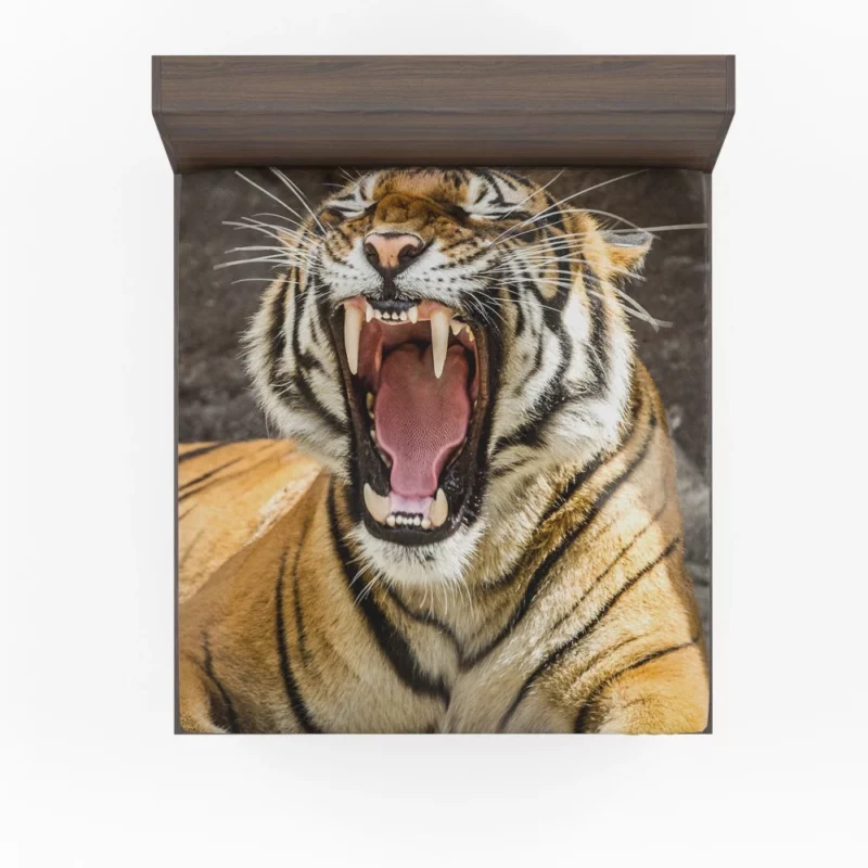 Wilderness Beauty Tiger Untamed Gaze Fitted Sheet 1