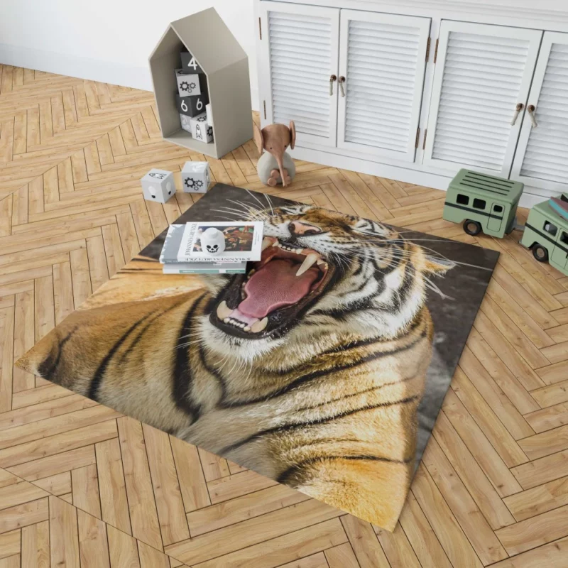 Wilderness Beauty Tiger Untamed Gaze Rug 1