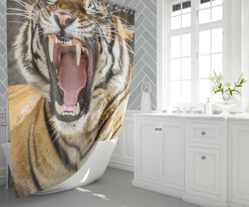 Wilderness Beauty Tiger Untamed Gaze Shower Curtain 1