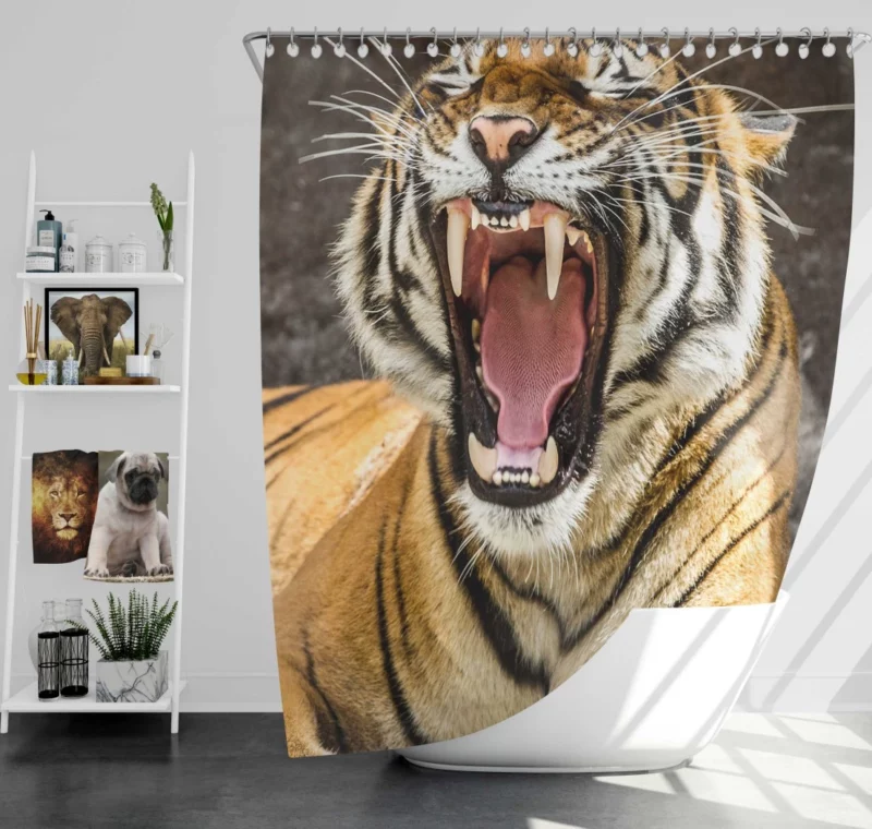 Wilderness Beauty Tiger Untamed Gaze Shower Curtain