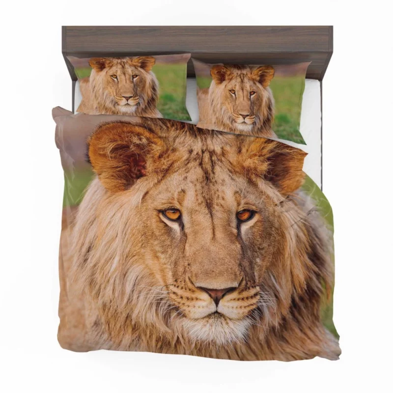 Wilderness Majesty Lion Regal Stare Bedding Set 1