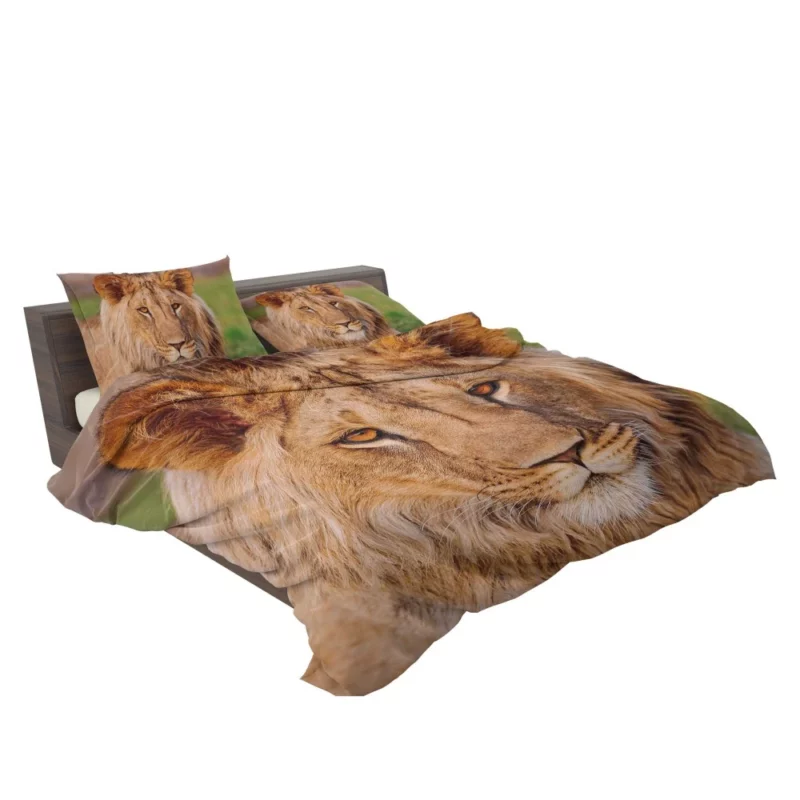 Wilderness Majesty Lion Regal Stare Bedding Set 2