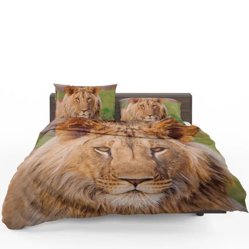 Wilderness Majesty Lion Regal Stare Bedding Set