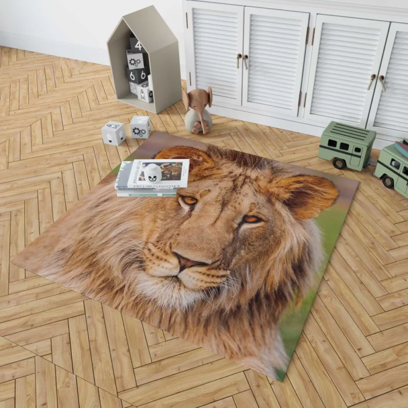 Wilderness Majesty Lion Regal Stare Rug 1