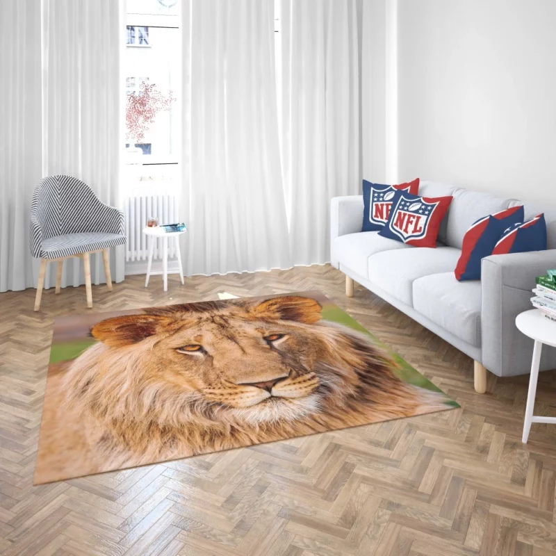 Wilderness Majesty Lion Regal Stare Rug 2