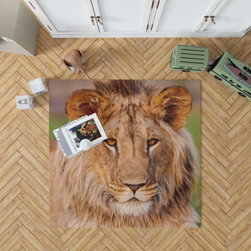 Wilderness Majesty Lion Regal Stare Rug