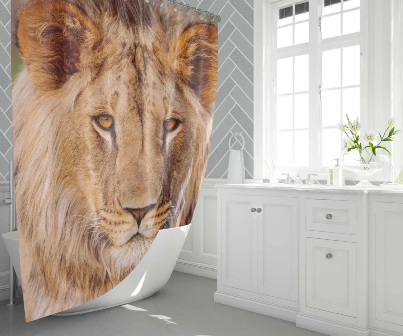 Wilderness Majesty Lion Regal Stare Shower Curtain 1