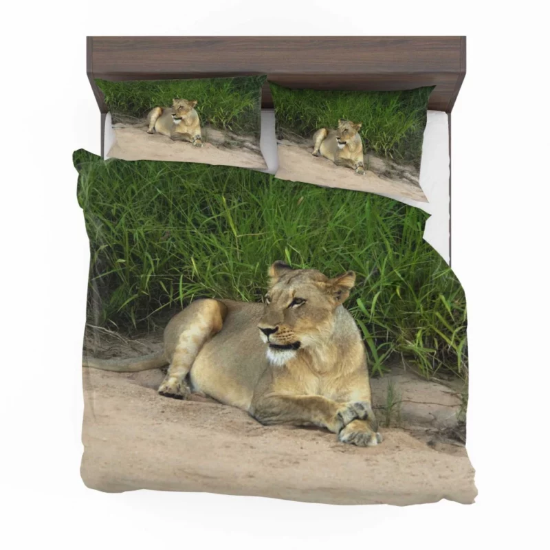 Wilderness Majesty Lion Roaring Rule Bedding Set 1