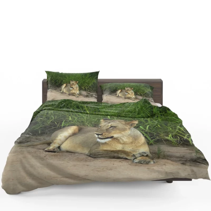 Wilderness Majesty Lion Roaring Rule Bedding Set