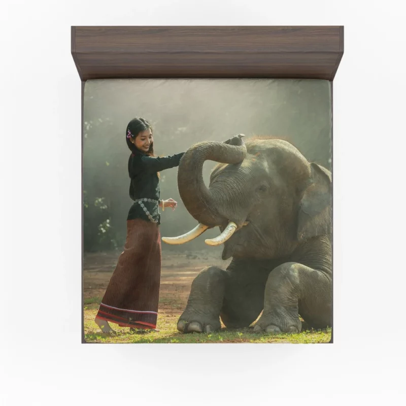 Willow Shields with Asian Elephant Grace & Majesty Fitted Sheet 1