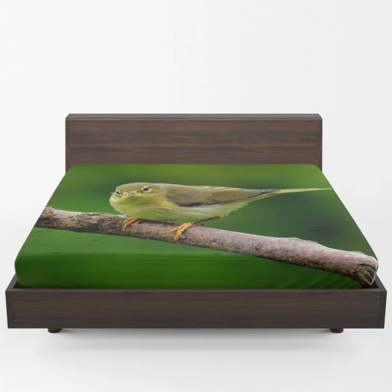 Willow Warbler Tranquil Branch Harmonious Rest Fitted Sheet