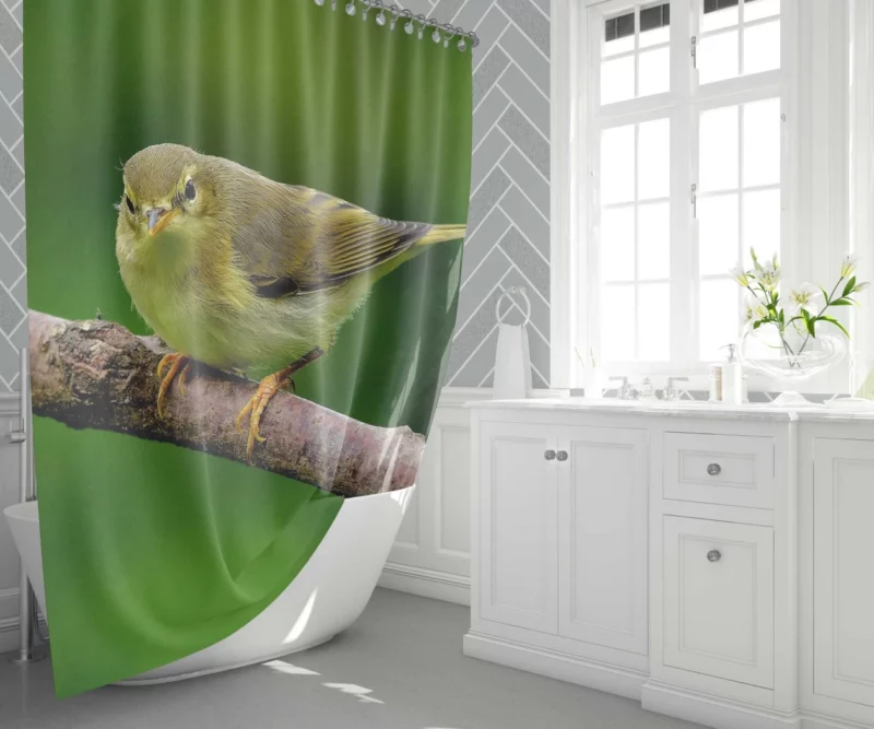 Willow Warbler Tranquil Branch Harmonious Rest Shower Curtain 1