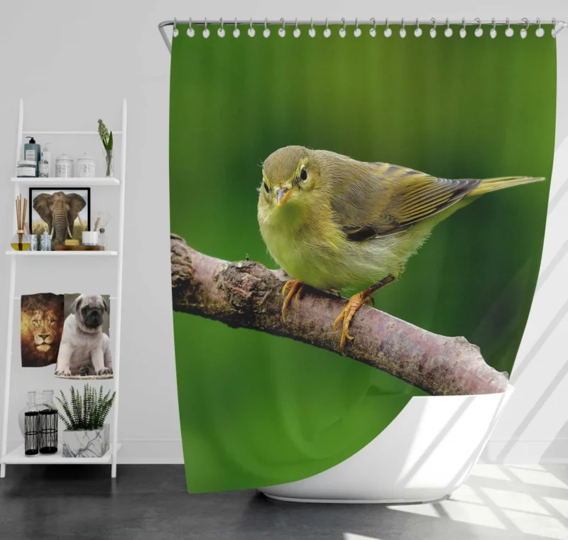 Willow Warbler Tranquil Branch Harmonious Rest Shower Curtain