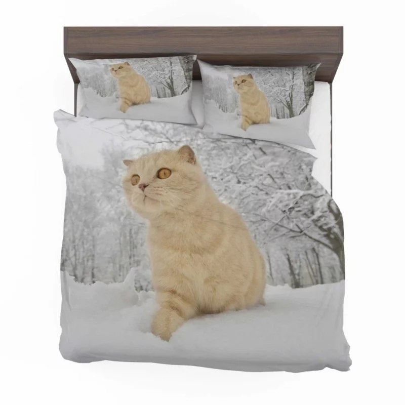 Winter Cat Serene Gaze Snowfall Beauty Bedding Set 1