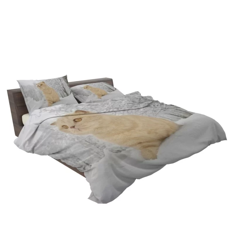 Winter Cat Serene Gaze Snowfall Beauty Bedding Set 2