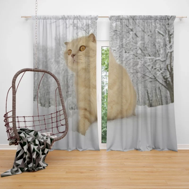 Winter Cat Serene Gaze Snowfall Beauty Curtain