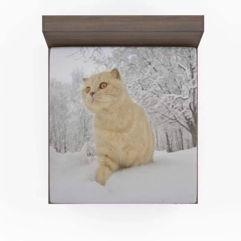 Winter Cat Serene Gaze Snowfall Beauty Fitted Sheet 1