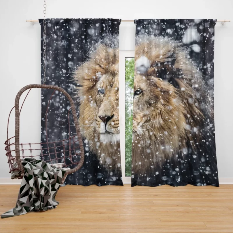 Winter Lion Majestic Portrait Regal Beauty Curtain