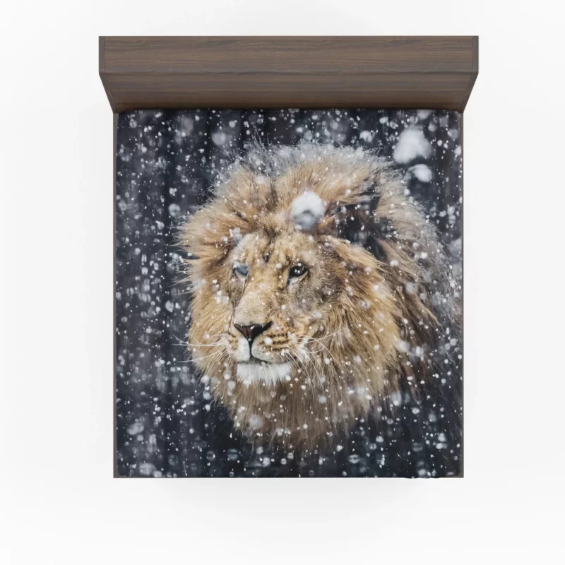 Winter Lion Majestic Portrait Regal Beauty Fitted Sheet 1