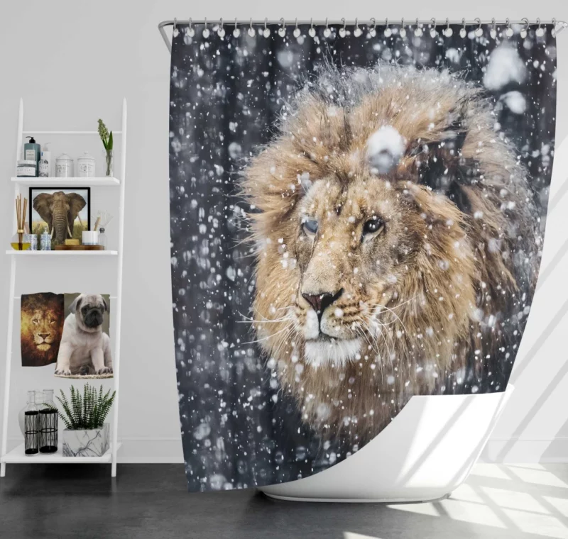 Winter Lion Majestic Portrait Regal Beauty Shower Curtain