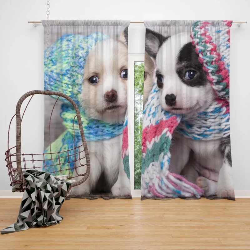 Winter Scarves & Puppy Delight Curtain