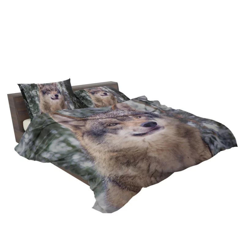 Winter Wolf Enchanted Stroll Bedding Set 2