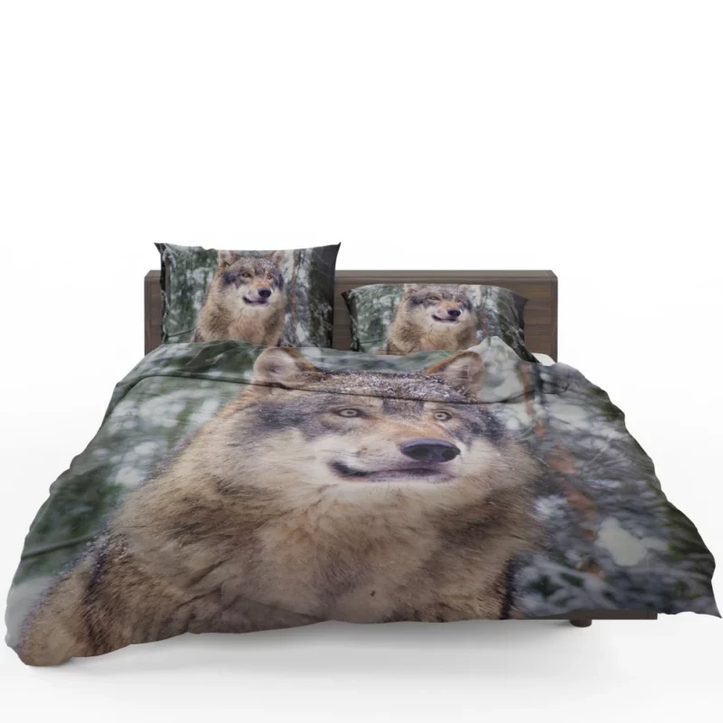 Winter Wolf Enchanted Stroll Bedding Set