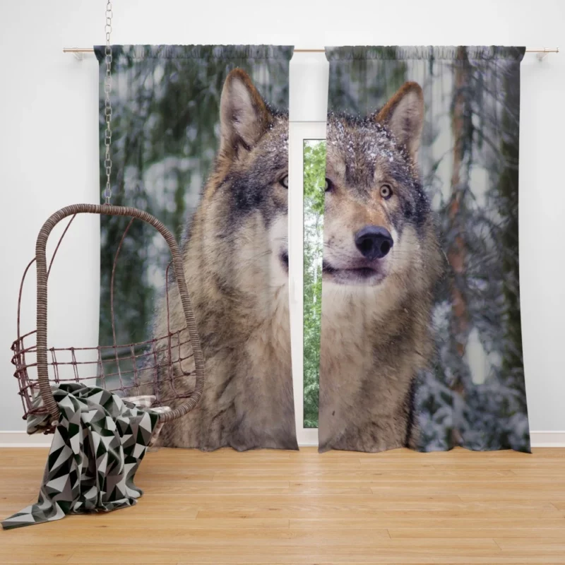 Winter Wolf Enchanted Stroll Curtain