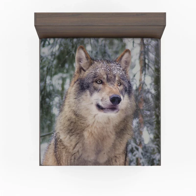 Winter Wolf Enchanted Stroll Fitted Sheet 1