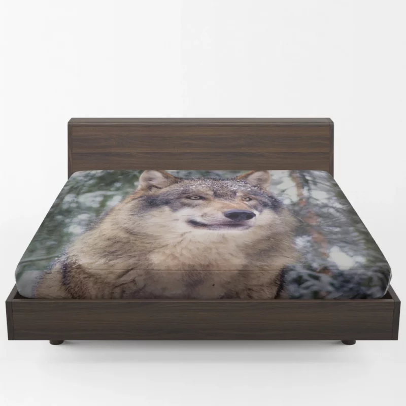 Winter Wolf Enchanted Stroll Fitted Sheet