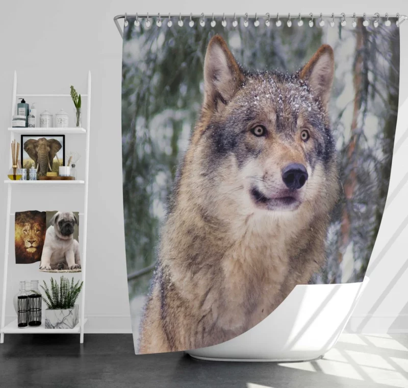 Winter Wolf Enchanted Stroll Shower Curtain