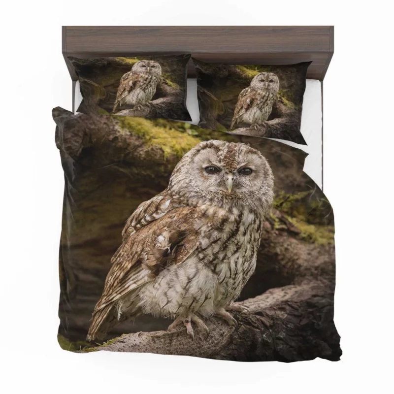 Wise Owl Stare Nocturnal Watch Bedding Set 1