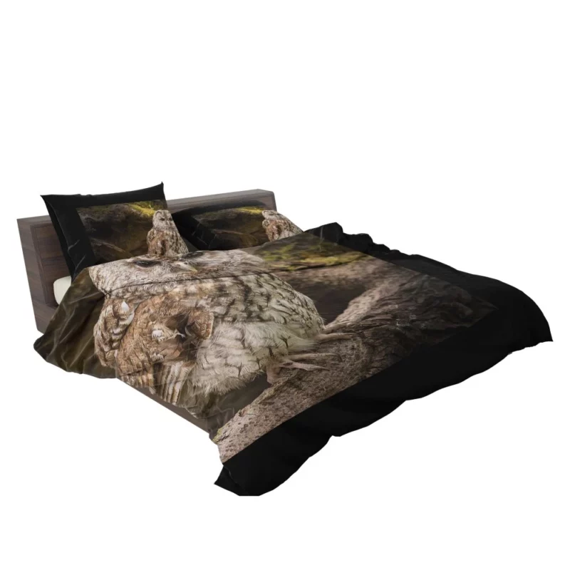 Wise Owl Stare Nocturnal Watch Bedding Set 2