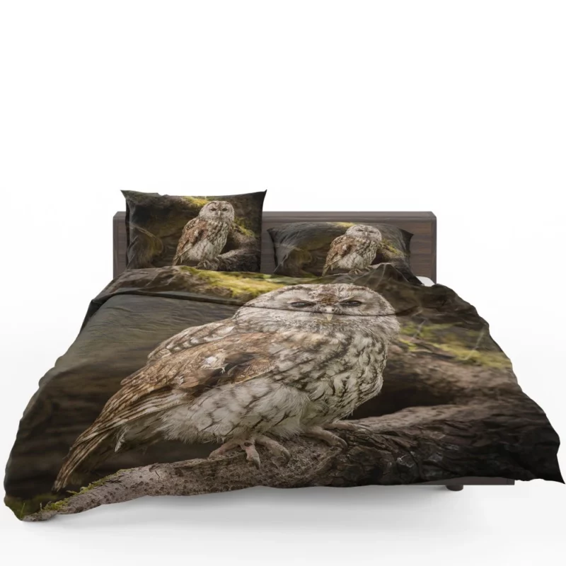 Wise Owl Stare Nocturnal Watch Bedding Set