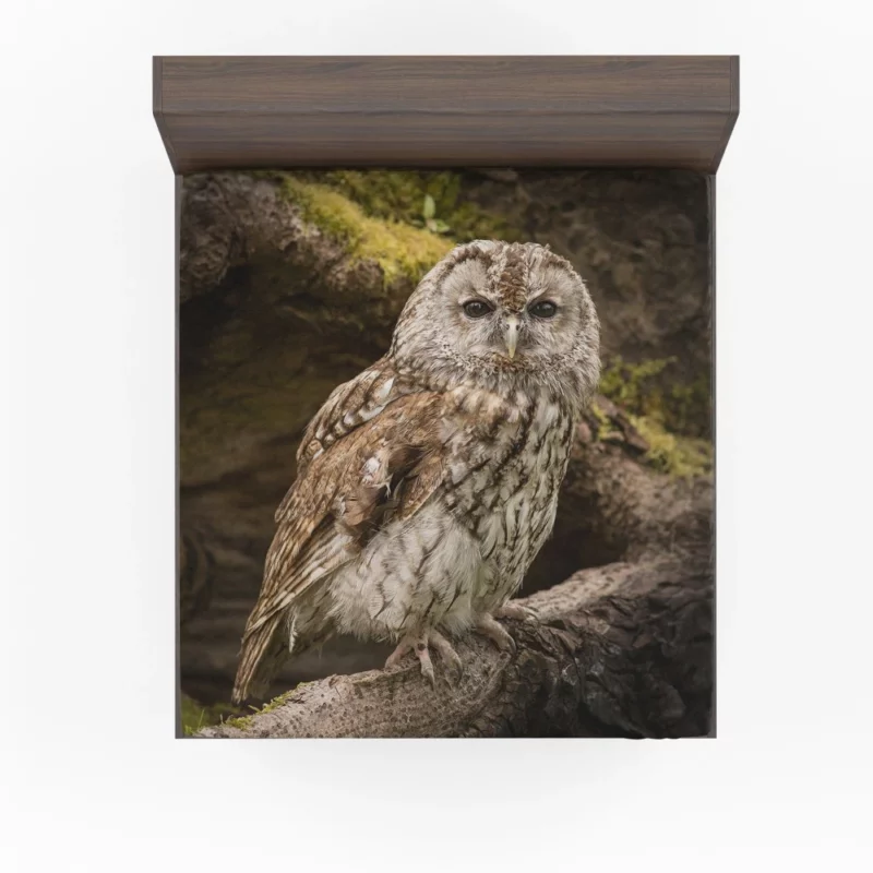 Wise Owl Stare Nocturnal Watch Fitted Sheet 1