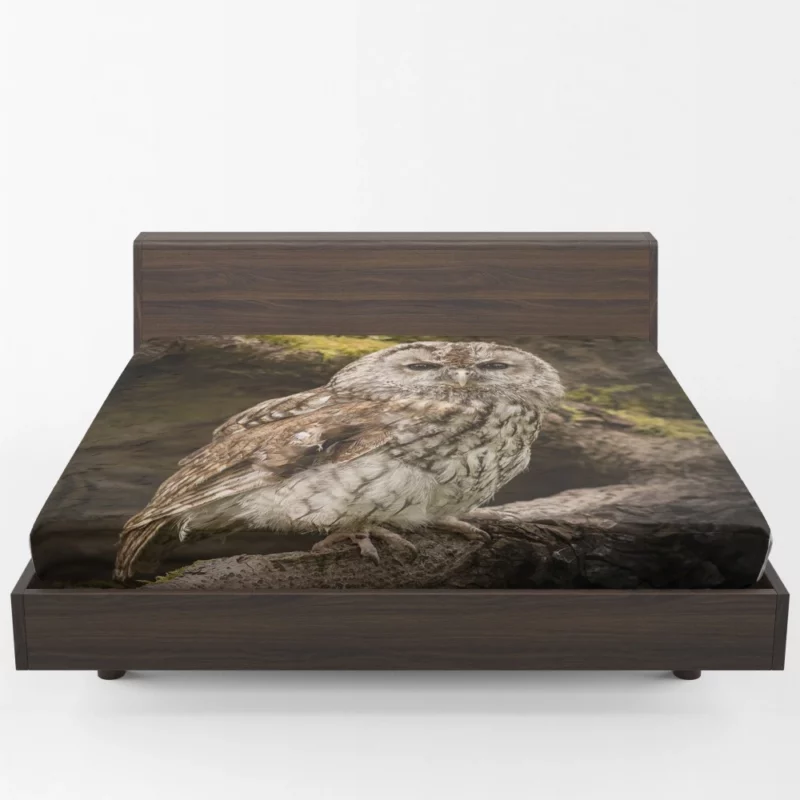 Wise Owl Stare Nocturnal Watch Fitted Sheet